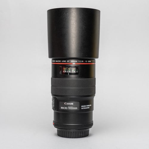 Canon EF 100mm f/2.8 L Macro IS USM Lens w/Hood