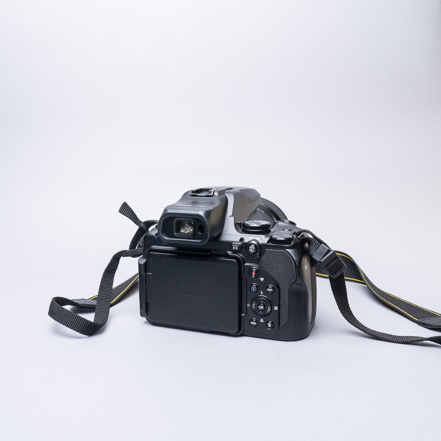 Nikon P1000 — image 4