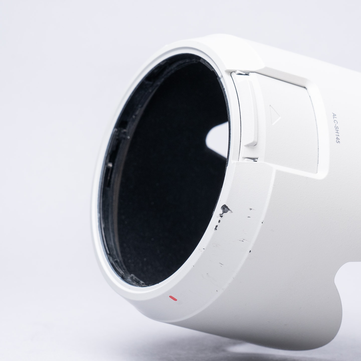 Sony FE 70-200mm f/2.8 GM OSS — image 15