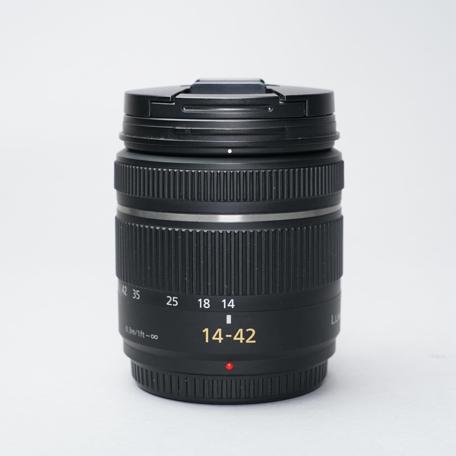 Panasonic 14-42mm f/3.5-5.6 — image 1