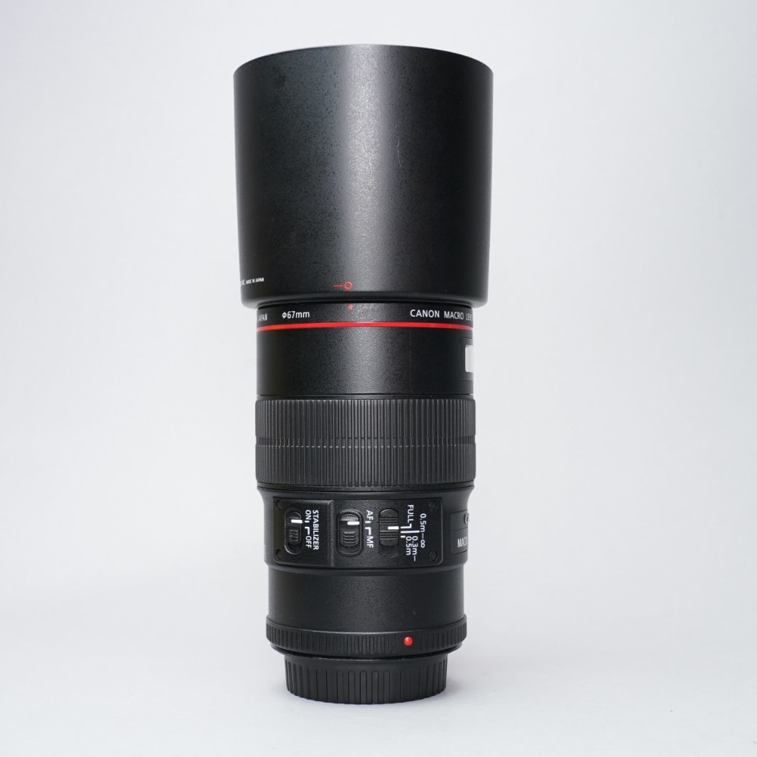 Canon EF 100mm f/2.8L IS USM — image 4