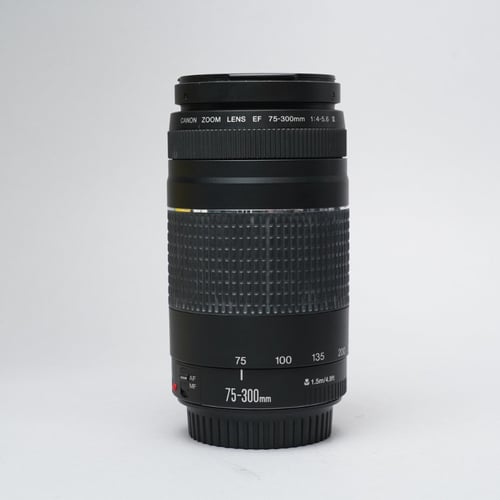 Canon EF 75-300mm F/4-5.6 III