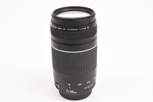 Canon EF 75-300mm III #02243 O4 M5 C4