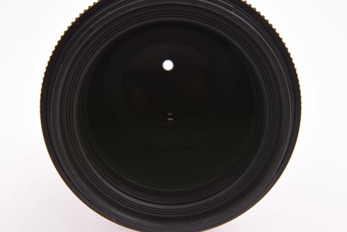 thumbnail-6 for Sigma 105mm f/2.8 DG DN ART Macro for L Mount