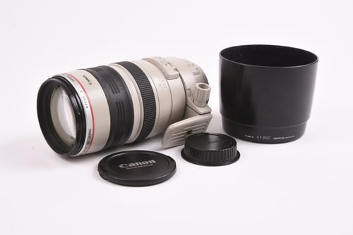 Canon EF 100-400mm L IS