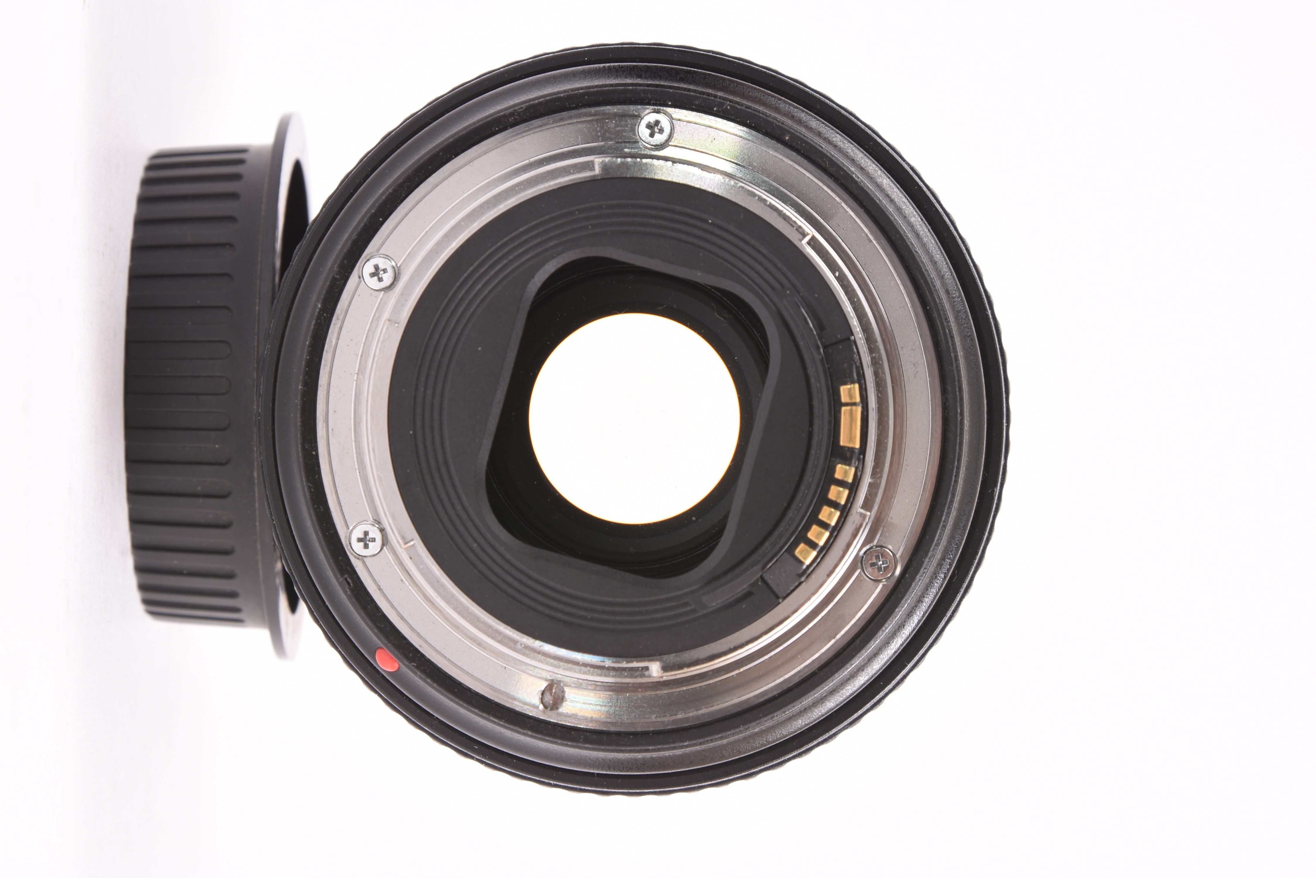 Canon EF 24-105mm f/4L IS II USM — image 8