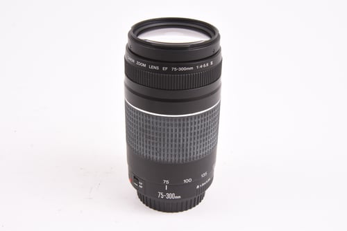 Canon EF 75-300mm f/4-5.6 III