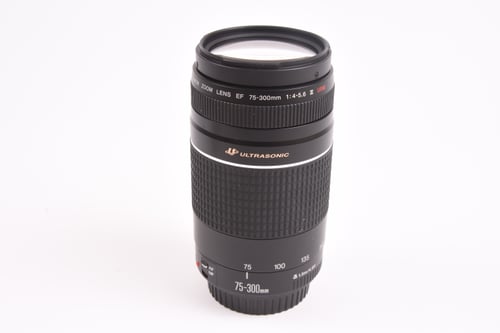 Canon EF 75-300mm III USM HAZE