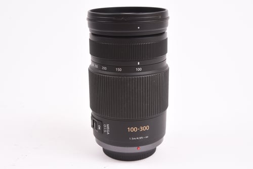 Panasonic MFT 100-300mm f/4-5.6 G