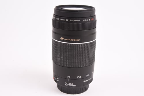 Canon EF 75-300mm f/4-5.6 III USM