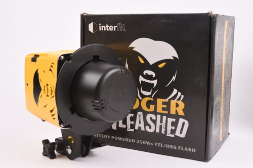 thumbnail-6 for Interfit Badger Unleashed