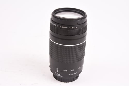 Canon EF 75-300mm f/4-5.6 III