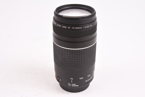 Canon EF 75-300mm III FUNGUS