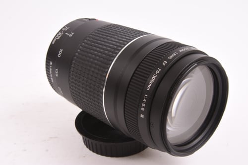 thumbnail-2 for Canon EF 75-300mm III FUNGUS