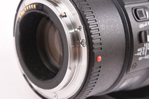 thumbnail-6 for Canon EF 100mm f/2.8 Macro L IS