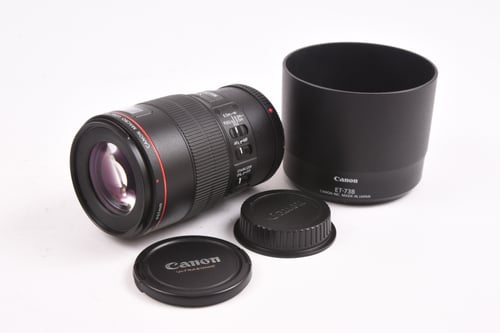 Canon EF 100mm f/2.8 Macro L IS
