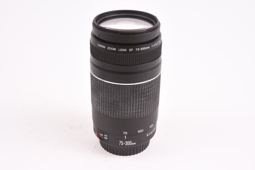 Canon EF 75-300mm f/4-5.6 III