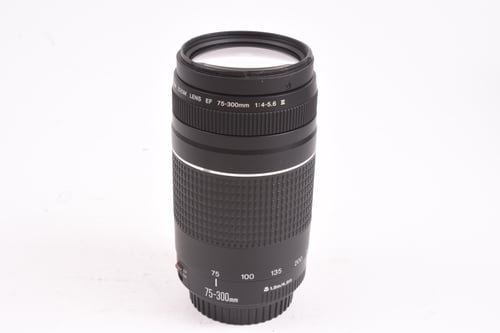 Canon EF 75-300mm f/4-5.6 III FUNGUS