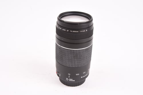 Canon EF 75-300mm f/4-5.6 III FUNGUS