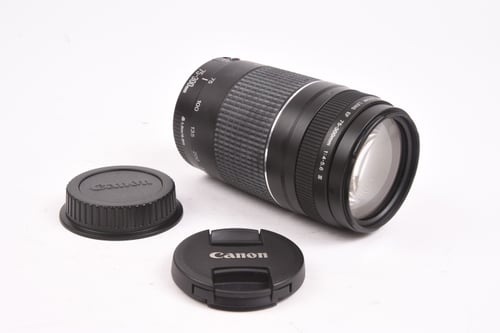 thumbnail-8 for Canon EF 75-300mm f/4-5.6 III FUNGUS