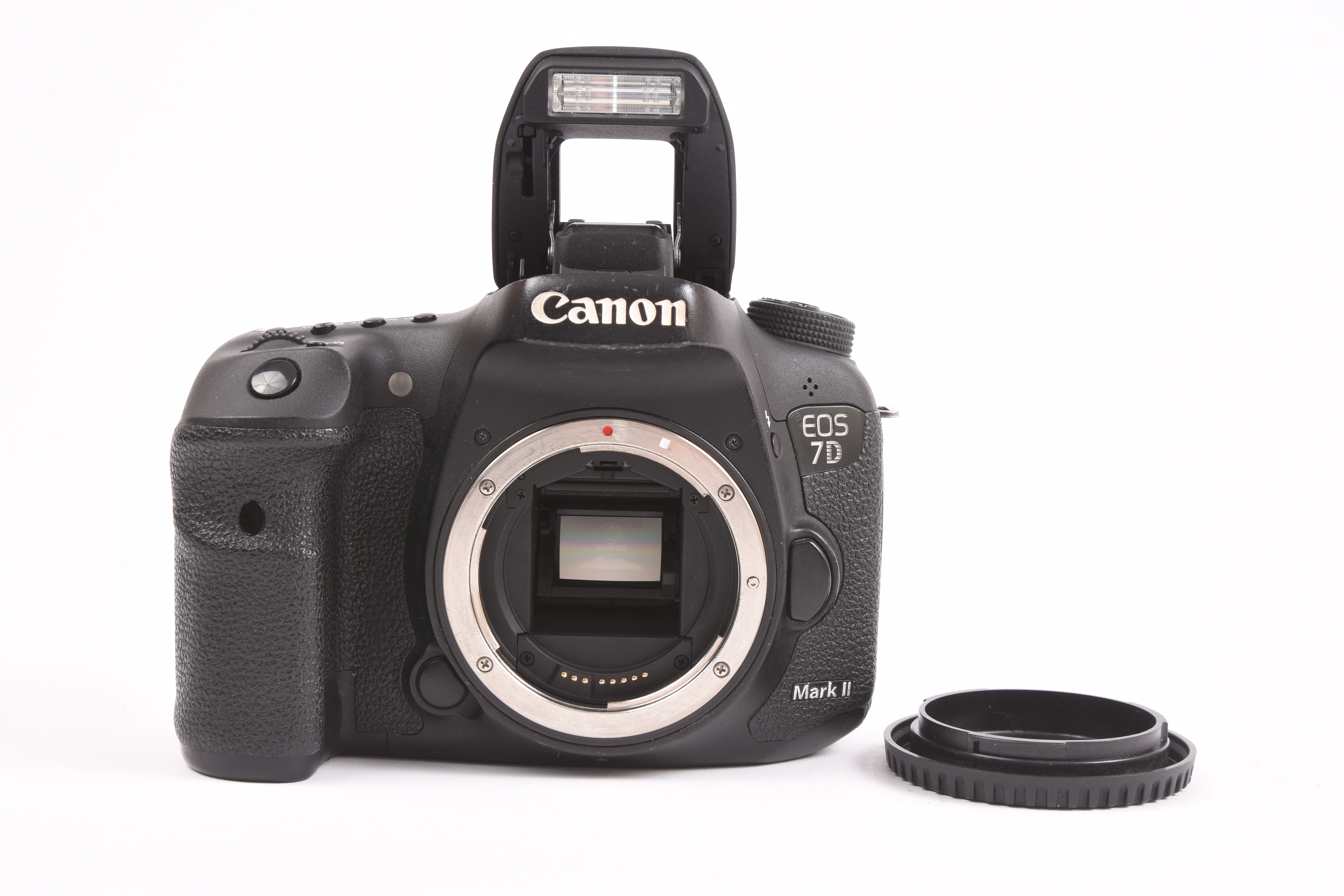 Canon EOS 7D Mark II — image 7