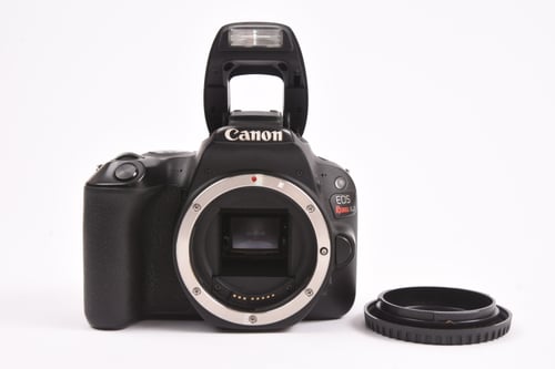 thumbnail-6 for Canon Rebel SL2 Body